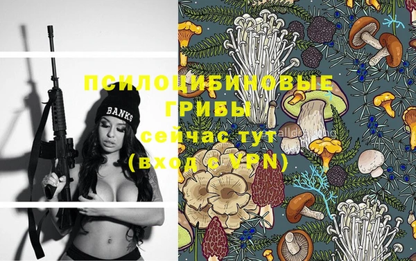 винт Алексеевка