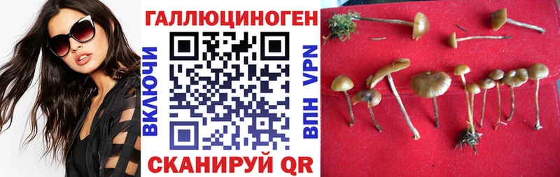 Галлюциногенные грибы мицелий  Ачхой-Мартан 