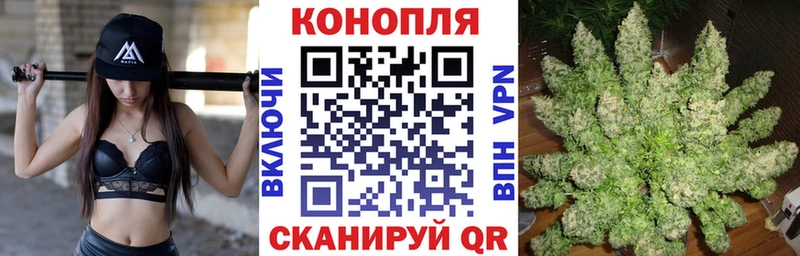 купить наркотики цена  Ачхой-Мартан  Канабис VHQ 
